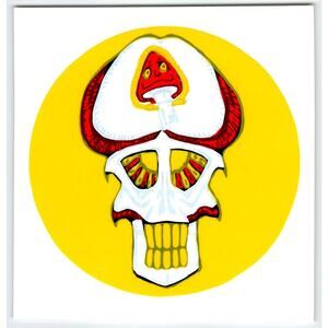 Grateful Dead Smiling Mushroom Brain Head Big DECAL Original 1992 Trippy Groovy